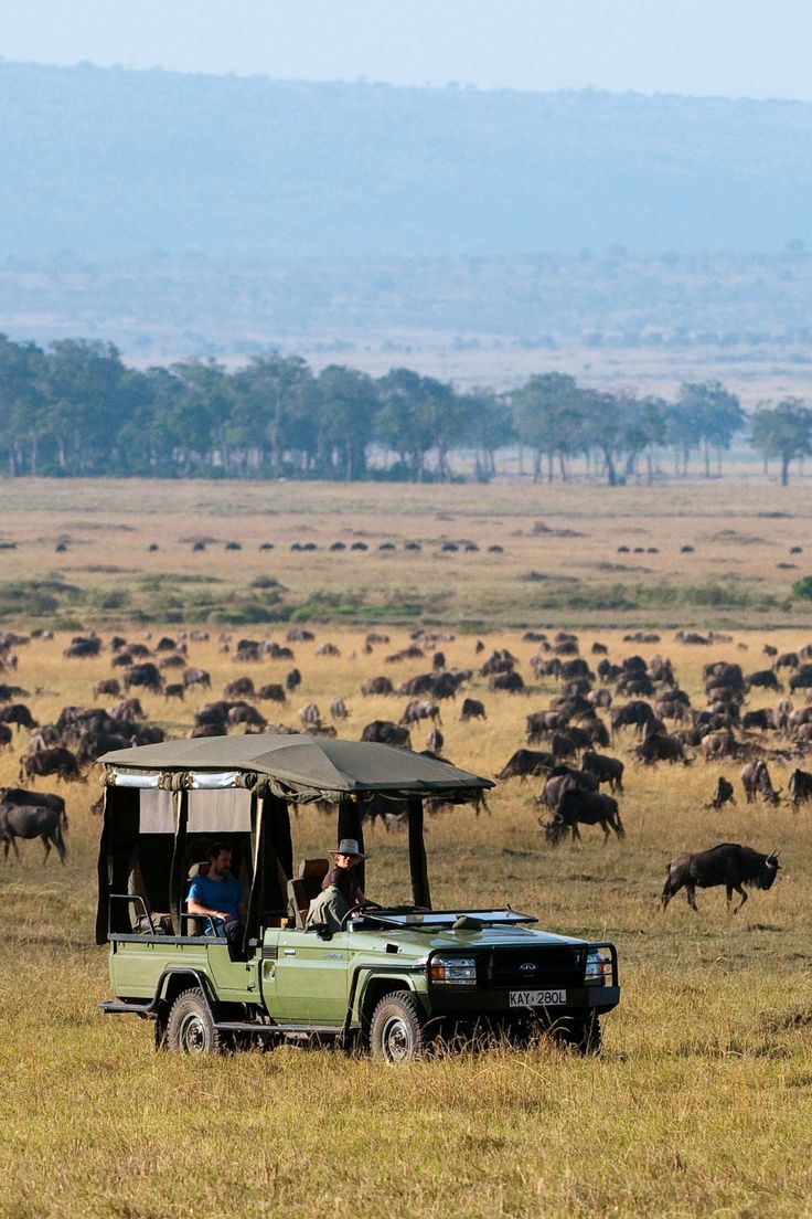 Maasai Mara